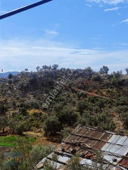 Hfz Gayrimenkulden Kısa Süreliğine Fırsat İlanı 2800m² Tarla — fotoğraf 10