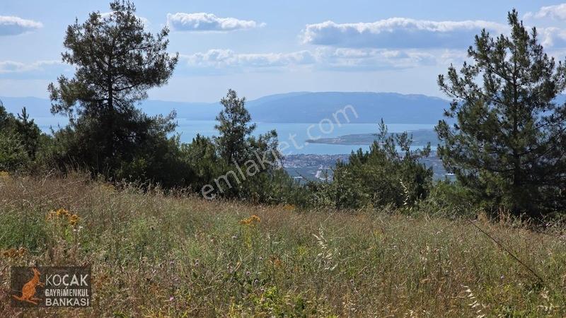 Çamoluk Mahallesinde Göl Gören Köy Yakını 6496M2 Satılık Arazi