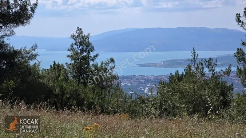 Çamoluk Mahallesinde Göl Gören Köy Yakını 6496m2 Satılık Arazi — fotoğraf 2