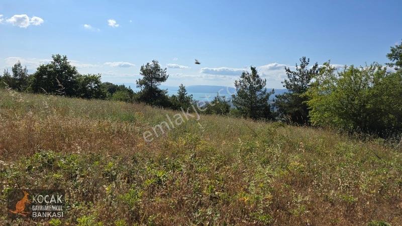 Çamoluk Mahallesinde Göl Gören Köy Yakını 6496m2 Satılık Arazi — fotoğraf 3
