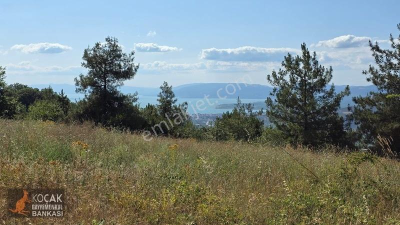 Çamoluk Mahallesinde Göl Gören Köy Yakını 6496m2 Satılık Arazi — fotoğraf 4