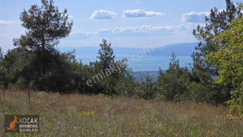 Çamoluk Mahallesinde Göl Gören Köy Yakını 6496m2 Satılık Arazi — fotoğraf 5