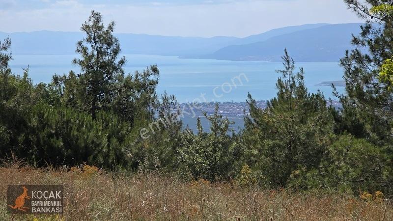 Çamoluk Mahallesinde Göl Gören Köy Yakını 6496m2 Satılık Arazi — fotoğraf 6