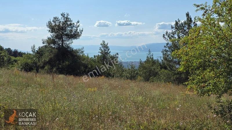 Çamoluk Mahallesinde Göl Gören Köy Yakını 6496m2 Satılık Arazi — fotoğraf 8