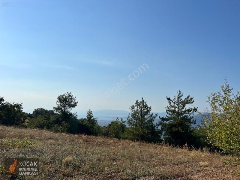 Çamoluk Mahallesinde Göl Gören Köy Yakını 6496m2 Satılık Arazi — fotoğraf 9