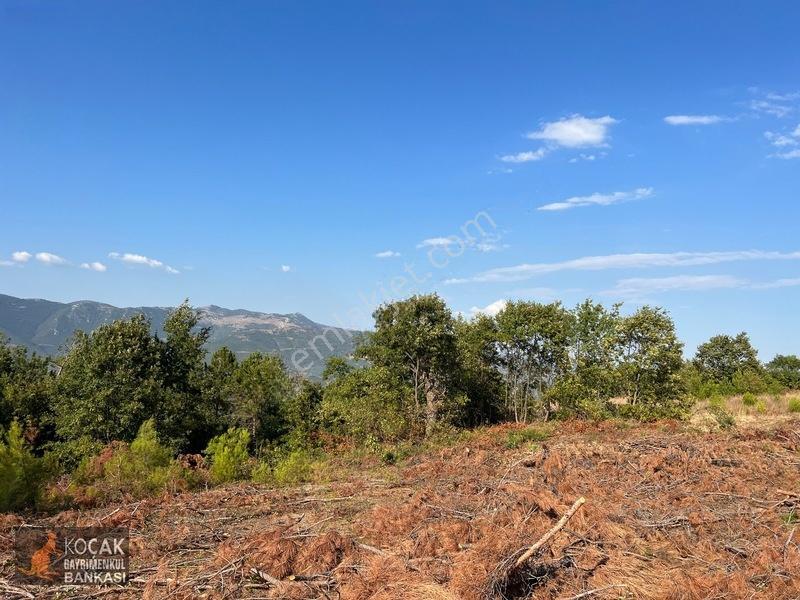 Çamoluk Mahallesinde Göl Gören Köy Yakını 6496m2 Satılık Arazi — fotoğraf 10