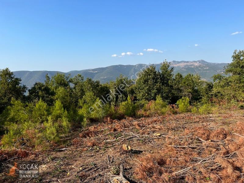 Çamoluk Mahallesinde Göl Gören Köy Yakını 6496m2 Satılık Arazi — fotoğraf 11