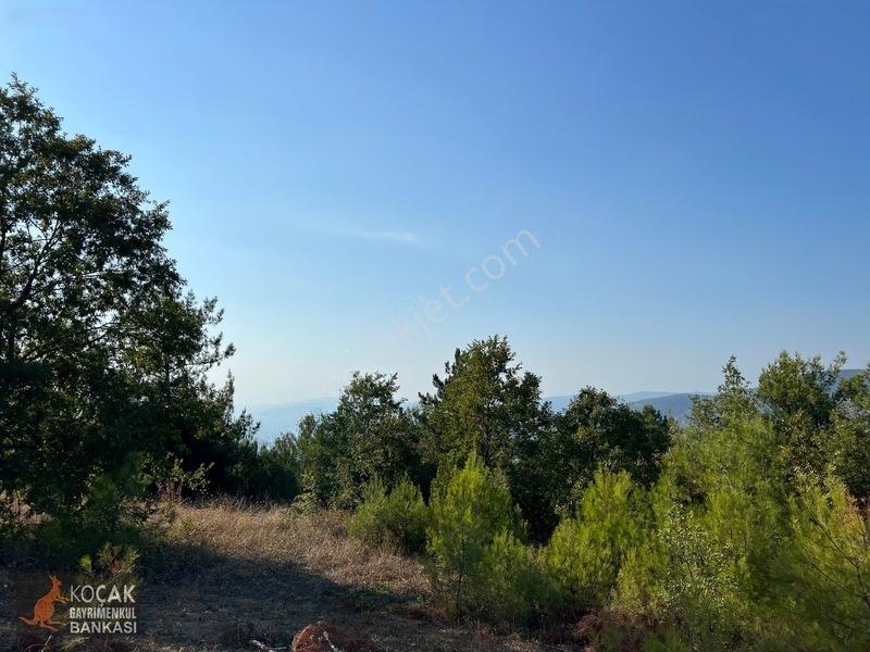 Çamoluk Mahallesinde Göl Gören Köy Yakını 6496m2 Satılık Arazi — fotoğraf 12