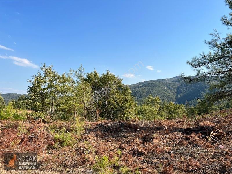 Çamoluk Mahallesinde Göl Gören Köy Yakını 6496m2 Satılık Arazi — fotoğraf 13