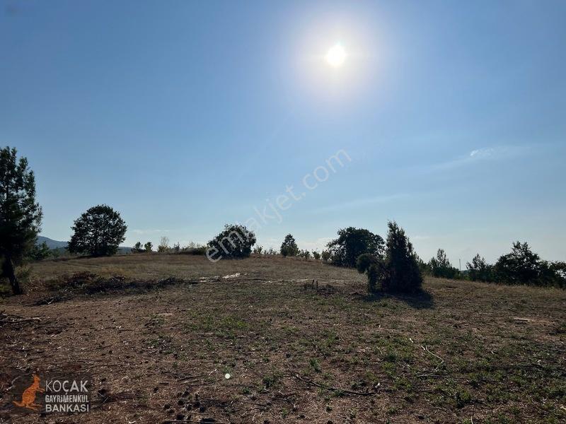 Çamoluk Mahallesinde Göl Gören Köy Yakını 6496m2 Satılık Arazi — fotoğraf 14