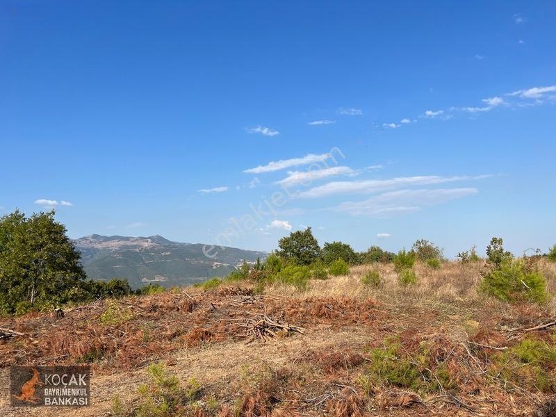 Çamoluk Mahallesinde Göl Gören Köy Yakını 6496m2 Satılık Arazi — fotoğraf 15