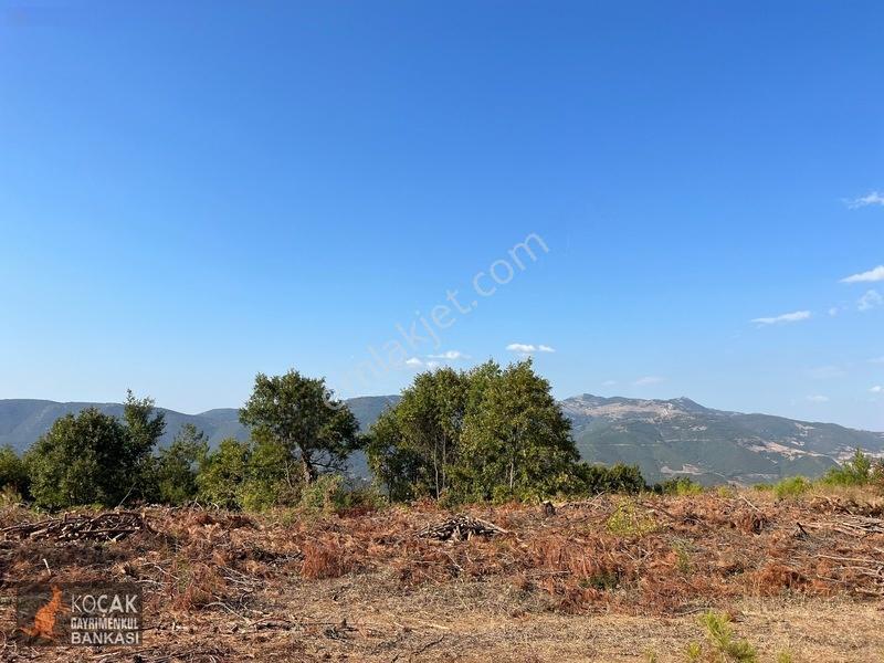 Çamoluk Mahallesinde Göl Gören Köy Yakını 6496m2 Satılık Arazi — fotoğraf 16