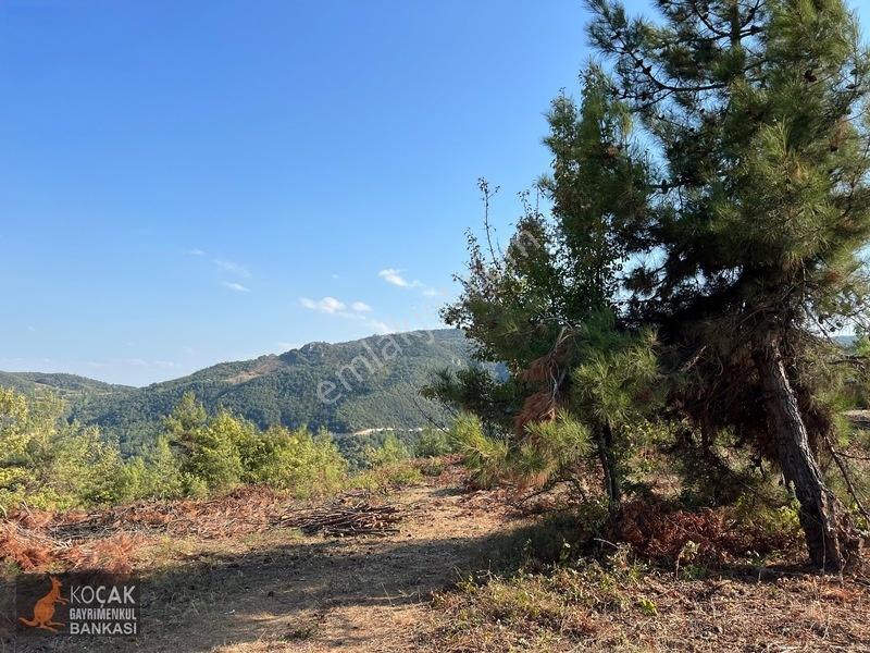 Çamoluk Mahallesinde Göl Gören Köy Yakını 6496m2 Satılık Arazi — fotoğraf 18