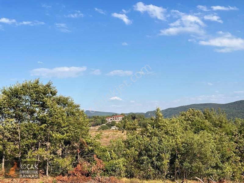 Çamoluk Mahallesinde Göl Gören Köy Yakını 6496m2 Satılık Arazi — fotoğraf 19