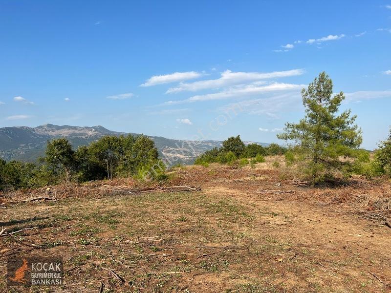Çamoluk Mahallesinde Göl Gören Köy Yakını 6496m2 Satılık Arazi — fotoğraf 20