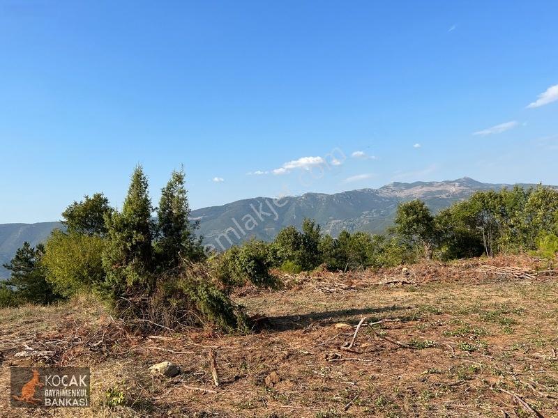 Çamoluk Mahallesinde Göl Gören Köy Yakını 6496m2 Satılık Arazi — fotoğraf 21