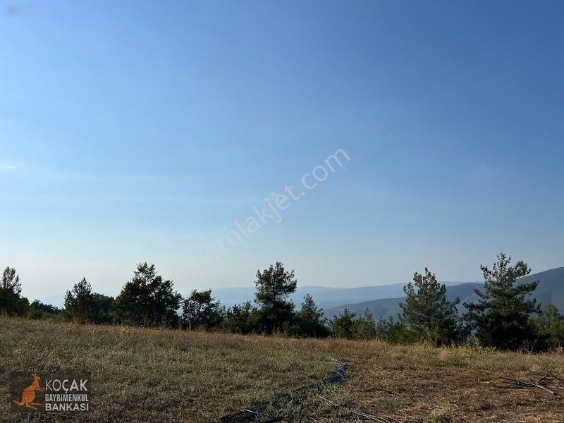 Çamoluk Mahallesinde Göl Gören Köy Yakını 6496m2 Satılık Arazi — fotoğraf 22