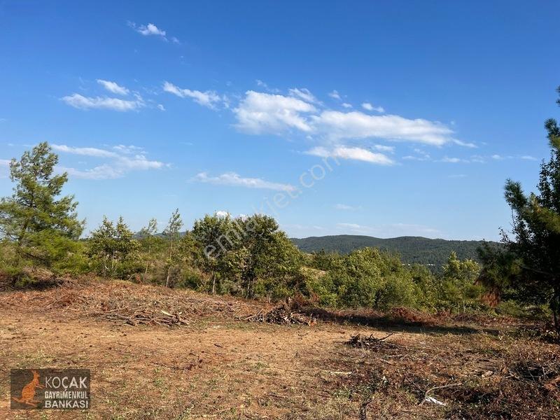 Çamoluk Mahallesinde Göl Gören Köy Yakını 6496m2 Satılık Arazi — fotoğraf 24