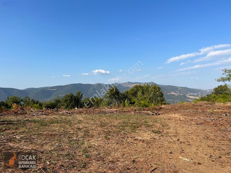 Çamoluk Mahallesinde Göl Gören Köy Yakını 6496m2 Satılık Arazi — fotoğraf 25