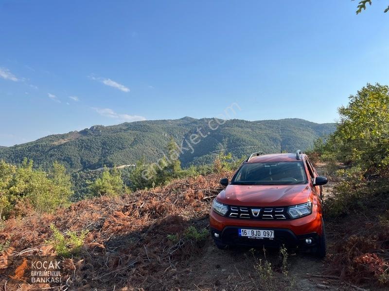 Çamoluk Mahallesinde Göl Gören Köy Yakını 6496m2 Satılık Arazi — fotoğraf 26