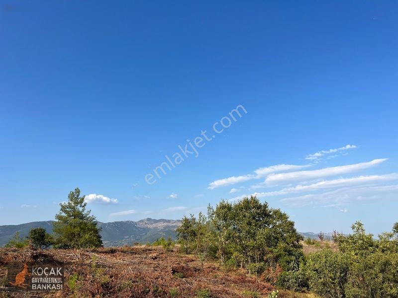 Çamoluk Mahallesinde Göl Gören Köy Yakını 6496m2 Satılık Arazi — fotoğraf 27