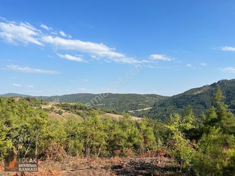 Çamoluk Mahallesinde Göl Gören Köy Yakını 6496m2 Satılık Arazi — fotoğraf 28
