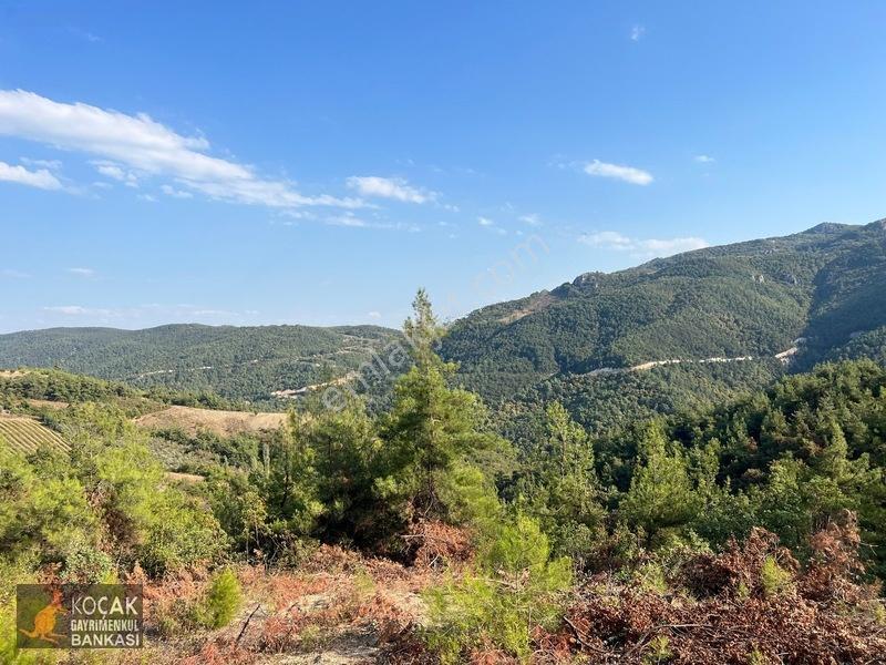 Çamoluk Mahallesinde Göl Gören Köy Yakını 6496m2 Satılık Arazi — fotoğraf 29