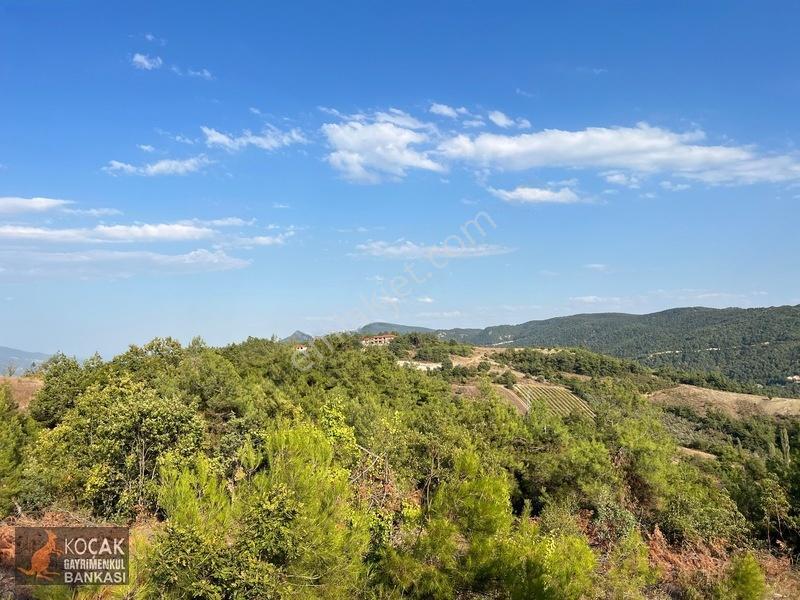 Çamoluk Mahallesinde Göl Gören Köy Yakını 6496m2 Satılık Arazi — fotoğraf 30