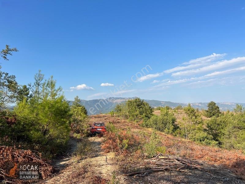 Çamoluk Mahallesinde Göl Gören Köy Yakını 6496m2 Satılık Arazi — fotoğraf 31