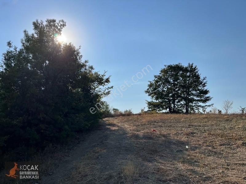 Çamoluk Mahallesinde Göl Gören Köy Yakını 6496m2 Satılık Arazi — fotoğraf 32