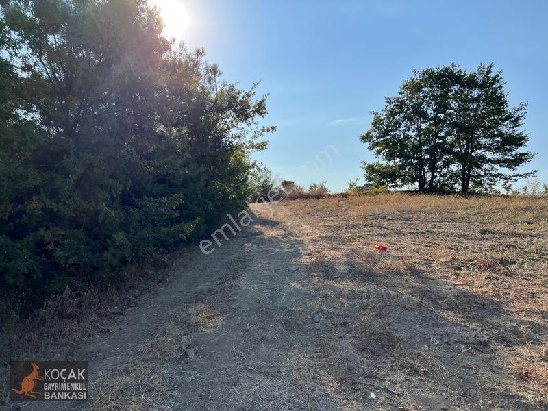 Çamoluk Mahallesinde Göl Gören Köy Yakını 6496m2 Satılık Arazi — fotoğraf 34