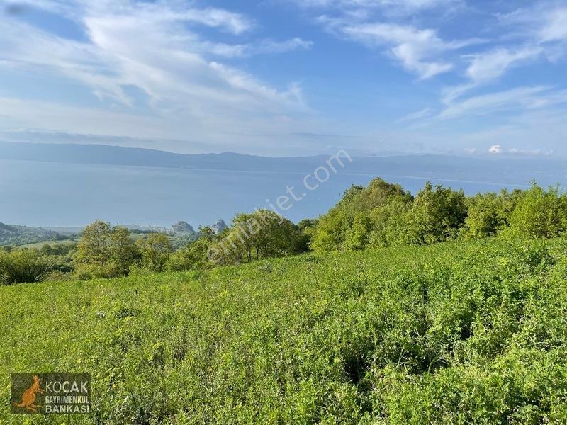 Muhteşem Doğa Ve Göl Manzarasıyla Göllüce Köyünde 3981m2 Arazi — fotoğraf 2