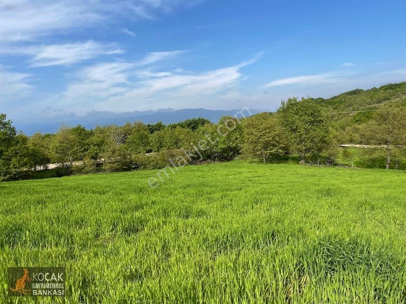 Muhteşem Doğa Ve Göl Manzarasıyla Göllüce Köyünde 3981m2 Arazi — fotoğraf 3