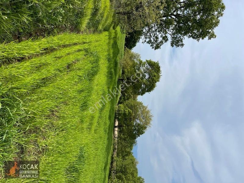 Muhteşem Doğa Ve Göl Manzarasıyla Göllüce Köyünde 3981m2 Arazi — fotoğraf 5