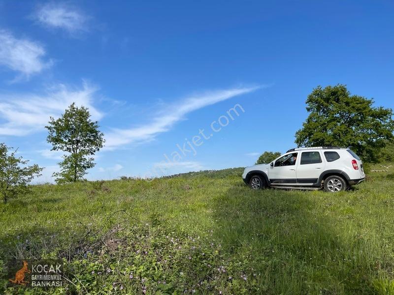 Muhteşem Doğa Ve Göl Manzarasıyla Göllüce Köyünde 3981m2 Arazi — fotoğraf 6