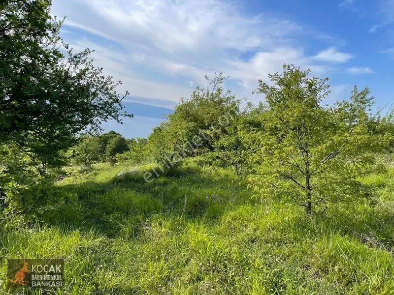 Muhteşem Doğa Ve Göl Manzarasıyla Göllüce Köyünde 3981m2 Arazi — fotoğraf 7