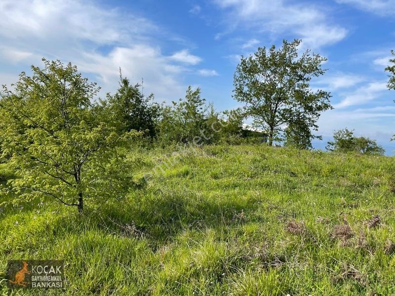 Muhteşem Doğa Ve Göl Manzarasıyla Göllüce Köyünde 3981m2 Arazi — fotoğraf 9