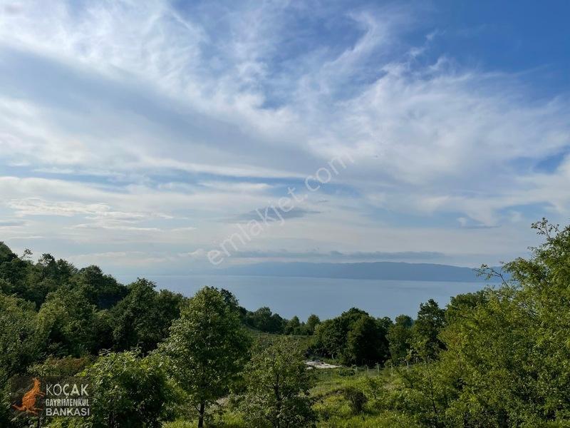 Muhteşem Doğa Ve Göl Manzarasıyla Göllüce Köyünde 3981m2 Arazi — fotoğraf 11