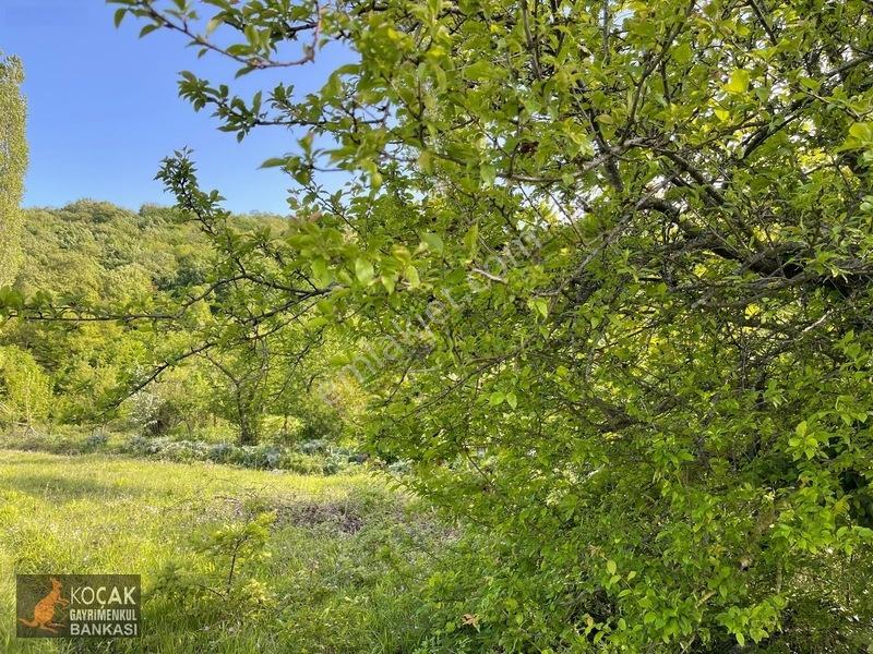 Muhteşem Doğa Ve Göl Manzarasıyla Göllüce Köyünde 3981m2 Arazi — fotoğraf 13