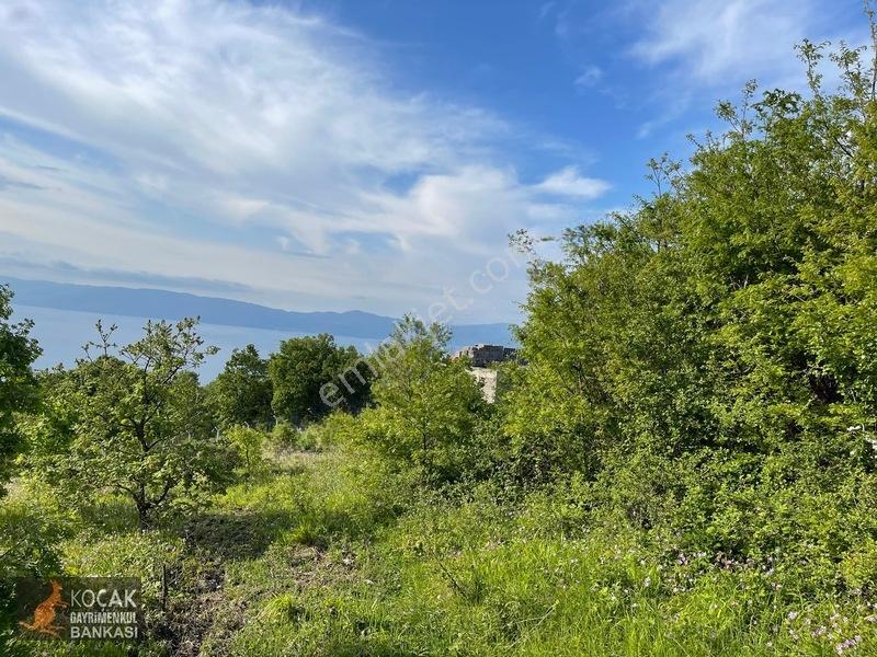 Muhteşem Doğa Ve Göl Manzarasıyla Göllüce Köyünde 3981m2 Arazi — fotoğraf 14