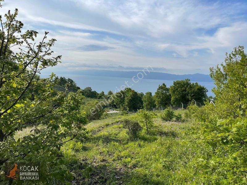 Muhteşem Doğa Ve Göl Manzarasıyla Göllüce Köyünde 3981m2 Arazi — fotoğraf 15