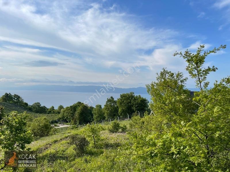 Muhteşem Doğa Ve Göl Manzarasıyla Göllüce Köyünde 3981m2 Arazi — fotoğraf 16
