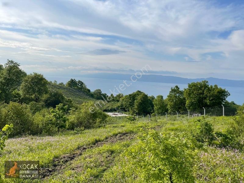 Muhteşem Doğa Ve Göl Manzarasıyla Göllüce Köyünde 3981m2 Arazi — fotoğraf 18