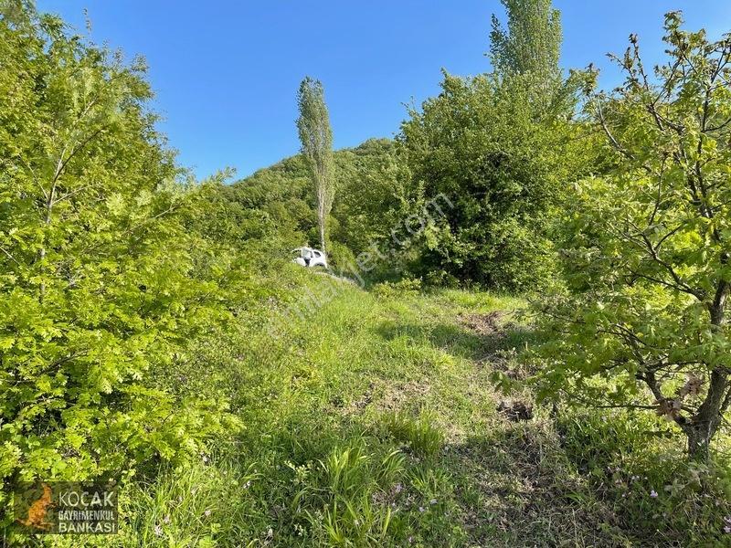Muhteşem Doğa Ve Göl Manzarasıyla Göllüce Köyünde 3981m2 Arazi — fotoğraf 20