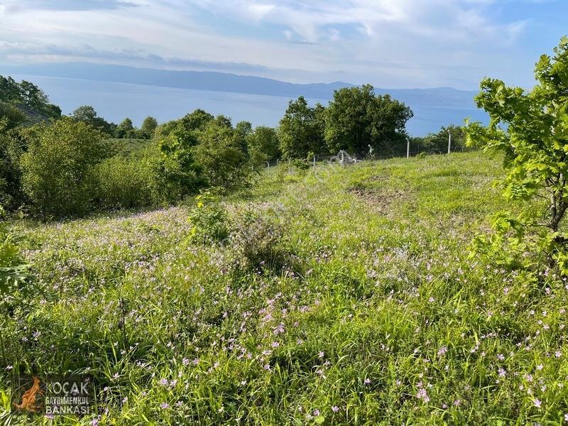Muhteşem Doğa Ve Göl Manzarasıyla Göllüce Köyünde 3981m2 Arazi — fotoğraf 21