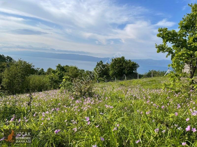 Muhteşem Doğa Ve Göl Manzarasıyla Göllüce Köyünde 3981m2 Arazi — fotoğraf 22