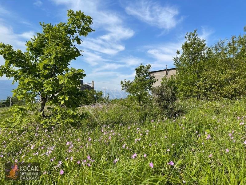 Muhteşem Doğa Ve Göl Manzarasıyla Göllüce Köyünde 3981m2 Arazi — fotoğraf 23