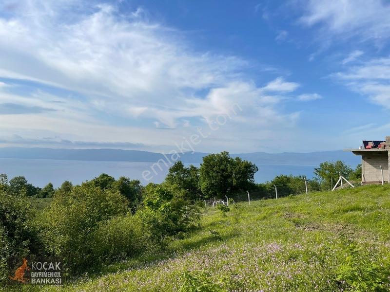 Muhteşem Doğa Ve Göl Manzarasıyla Göllüce Köyünde 3981m2 Arazi — fotoğraf 24