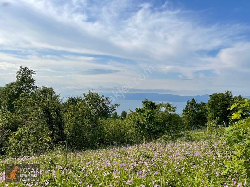 Muhteşem Doğa Ve Göl Manzarasıyla Göllüce Köyünde 3981m2 Arazi — fotoğraf 25