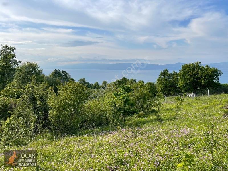 Muhteşem Doğa Ve Göl Manzarasıyla Göllüce Köyünde 3981m2 Arazi — fotoğraf 26